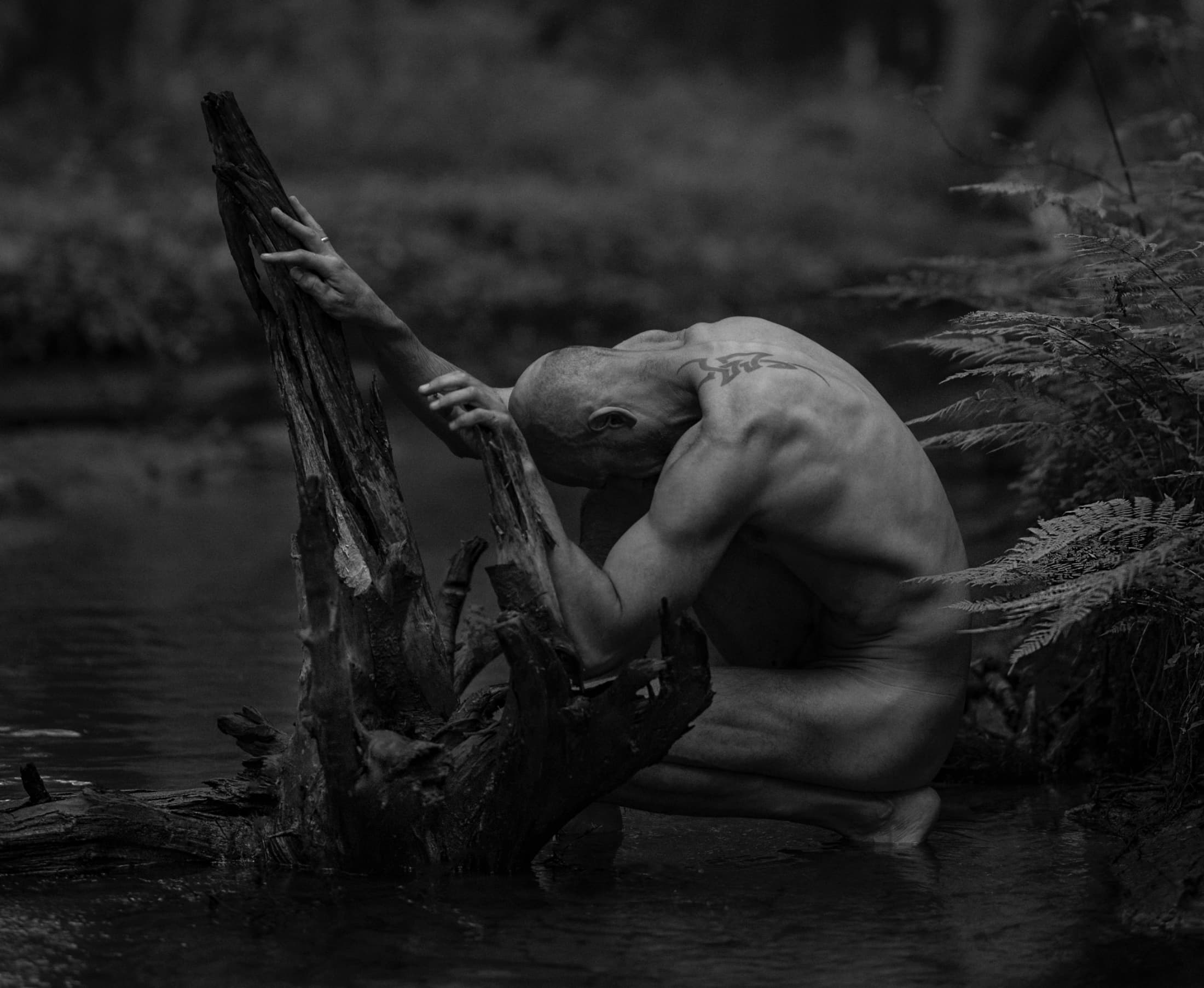 Maksim K.